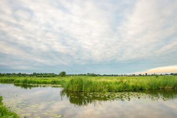 Tranquil scene of dutch polder landscape near Gouda, Holland with green meadows and ditches filled with water