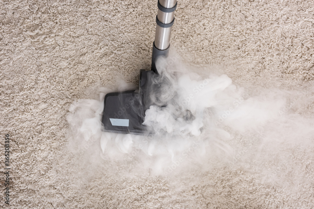 Wall mural top view of brush of vacuum cleaner with hot steam on carpet at home