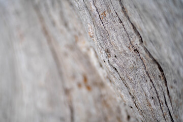 Grey wood surface that can be used as background