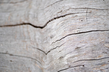 Grey wood surface that can be used as background
