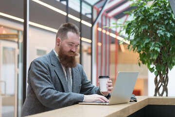 Portrait of brutal bearded hipster man wearing wool blazer working on laptop sitting in cafe/ restaurant, drinking coffee from a paper cup, indoor. Distance job, remote work. 