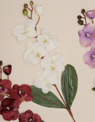 artificial flowers orchids on beige background