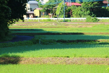 ときがわ町　風景