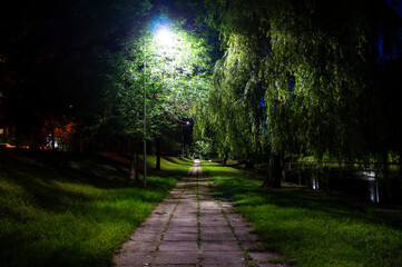Night city park with a river and beautiful lanterns in summer