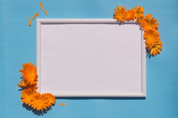 Empty wooden frame and orange flowers on a blue background