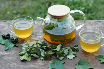 Tea in a glass teapot with cups with green leaves of black currant on a wooden colorful table.
