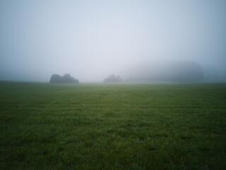Obraz na płótnie Canvas misty morning in the field