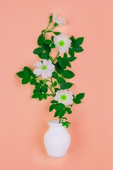 bouquet of pink wild rose flowers in a white jug on a pink background