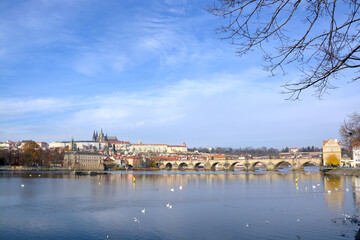 charles bridge and prague castle
