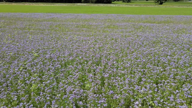 Luftbilder im Sommer /  beim Oberen Donautal