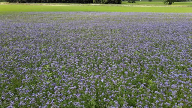 Luftbilder im Sommer /  beim Oberen Donautal