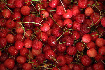 Fresh sweet cherry texture, wallpaper and background. Flat-lay of wet sweet cherries, top view.