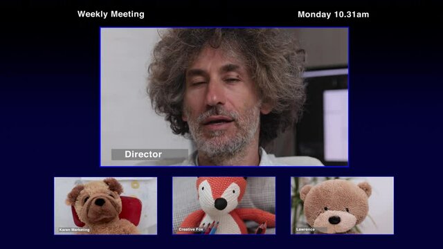 video of teddy bear video conference