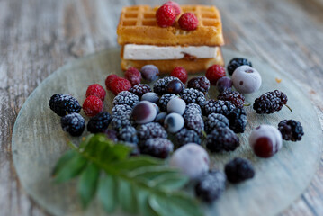 blueberry cheesecake