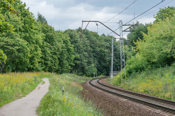 Railway by the forest at summer day time.