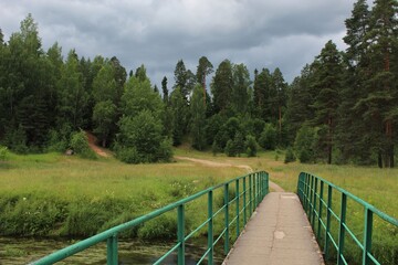 Fototapeta na wymiar Wooden bridge in the forest