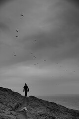 personne qui se promène seule sous un ciel nuageux avec des oiseaux au bord de la mer