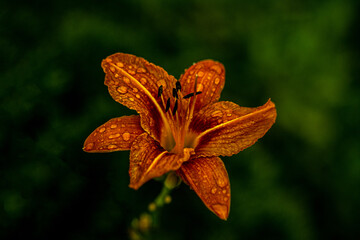 Unterwegs im Erzgebirge Natur Stadt City 