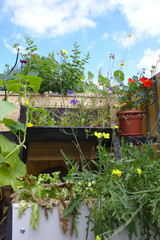 Garten auf einer Terrasse mit Hochbeet und Kräuterpflanzen