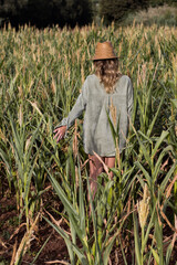 Naklejka na ściany i meble woman walking in corn field