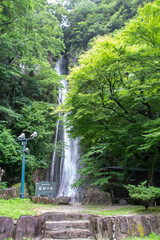 初夏の絹掛の滝とモミジ　岡山県新見市　Kinukake waterfall and maple foliage in Niimi city, Okayama pref. Japan