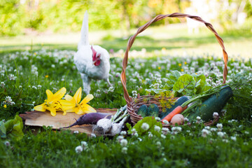 vegetables in a basket on the grass with white heck watching it