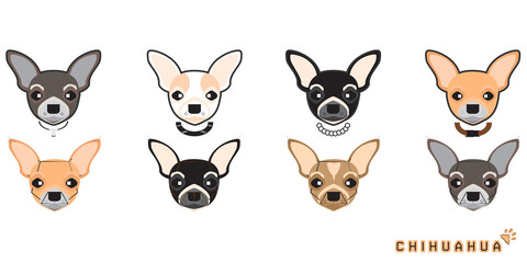 Set of cute cartoon dog with a Chihuahua, Vector dog set, eps10 vector format.