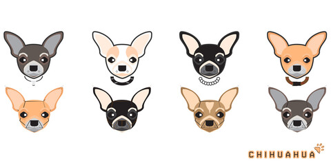 Fototapeta premium Set of cute cartoon dog with a Chihuahua, Vector dog set, eps10 vector format.