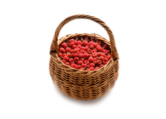 Fototapeta na wymiar ripe forest raspberries in a wicker basket isolated on a white background, delicious and healthy food, natural vitamins, ripe raspberries.
