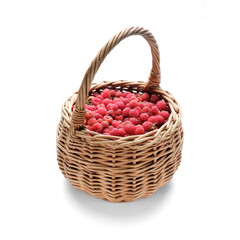 Fototapeta na wymiar forest raspberries in a wicker basket isolated on a white background