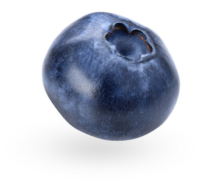 Blueberry isolated on white background. Falling or flying object. Clipping path. Macro side view of billberry