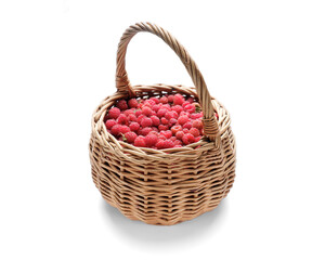 Fototapeta na wymiar ripe forest raspberries in a wicker basket isolated on a white background, delicious and healthy food, natural vitamins, ripe raspberries.