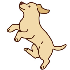 Outlined cream Labrador jumping in side view