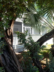 Beautiful neighborhood scene of Key West, Florida