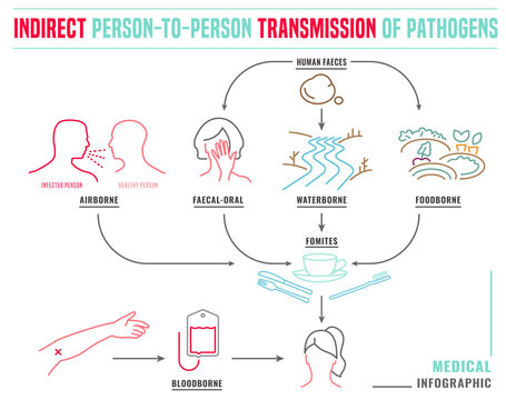 Indirect Disease Transmission