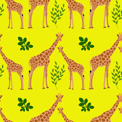 Giraffes on a yellow background, seamless pattern, flat vector