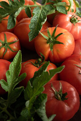 Raw garden tomatoes, healthy ingredients for healthy eating