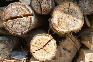 Dry birch firewood stacked for fireplace and stove. Close up view. Wooden background.