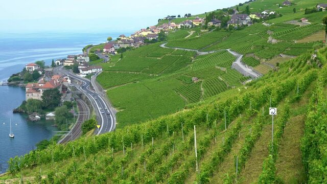Scenic view of Lavaux terraced vineyards over Geneva lake and Rivaz village in background in Lavaux Vaud Switzerland