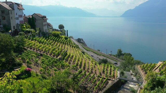 Scenic view Lake Geneva and Lavaux terraced vineyards with houses of Rivaz village in Lavaux Vaud Switzerland