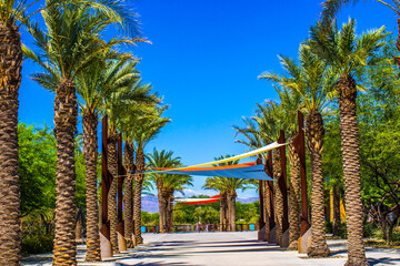 Canopies Over Palm Tree Lined Walkway