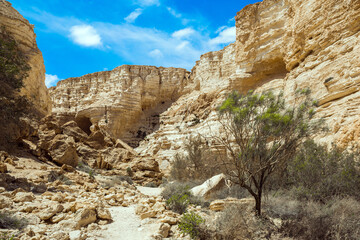 Fototapeta premium The caves and rocks