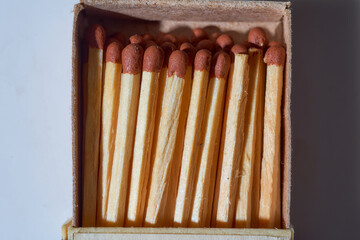 Wooden sheep's match on a white background. Top view. Close-up.