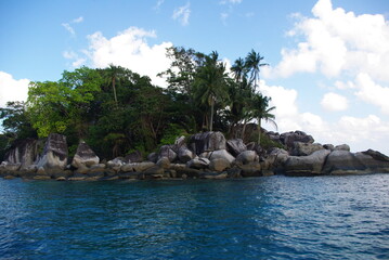 tropical beach with palm tree