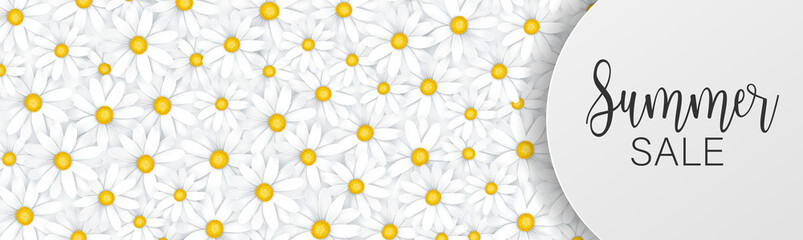 Summer sale banner or header. White daisy flowers tender femenine background. Promo design concept. Realistic vector illustration with lettering.