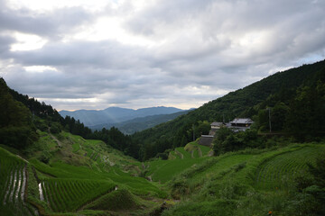 内子の泉谷棚田