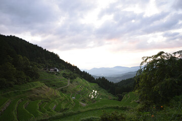内子の泉谷棚田
