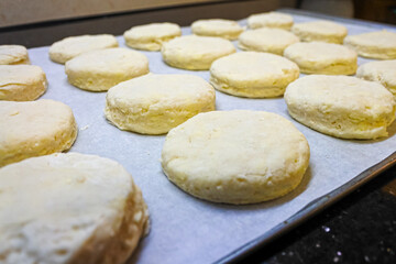 Fototapeta na wymiar homemade biscuits on a baking tray