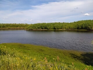 summer landscape with lake