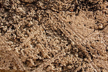 
old cement surface texture and background
